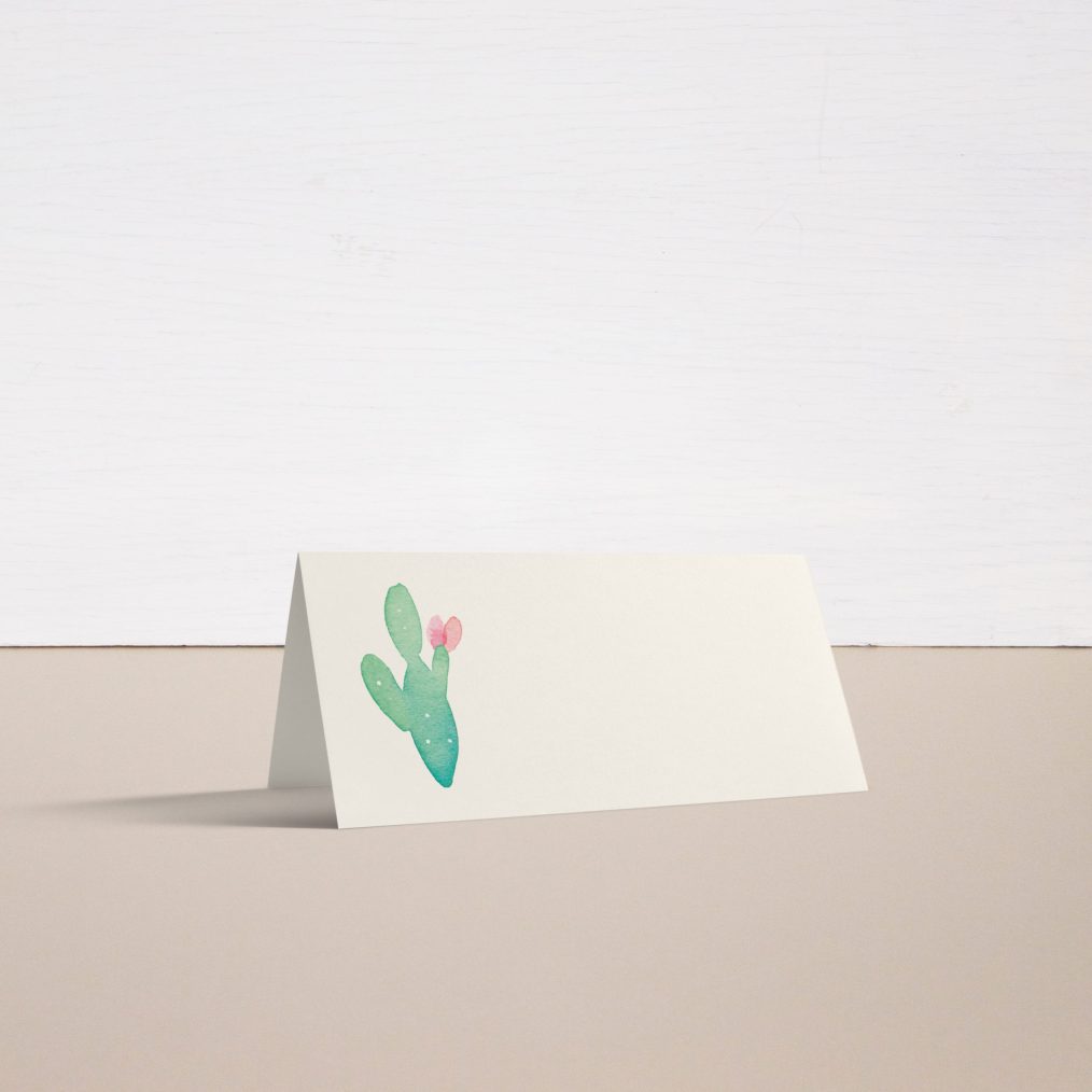 mint cactus bridal shower invitations