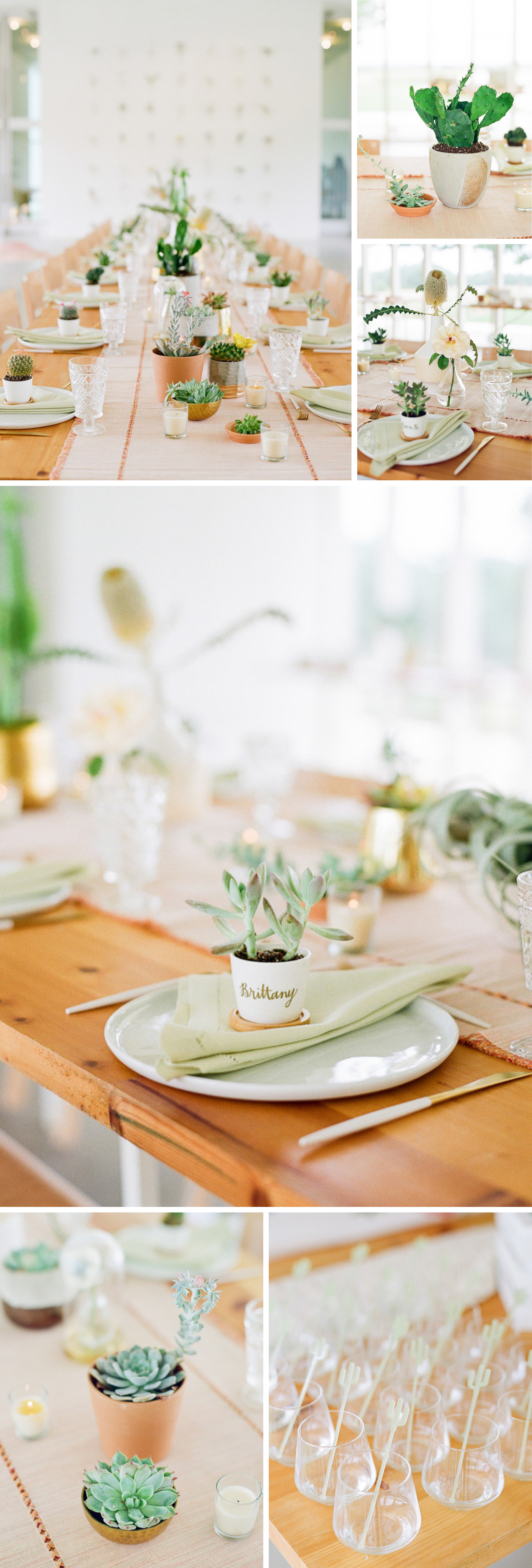 Adorable Cactus-Inspired Baby Shower
