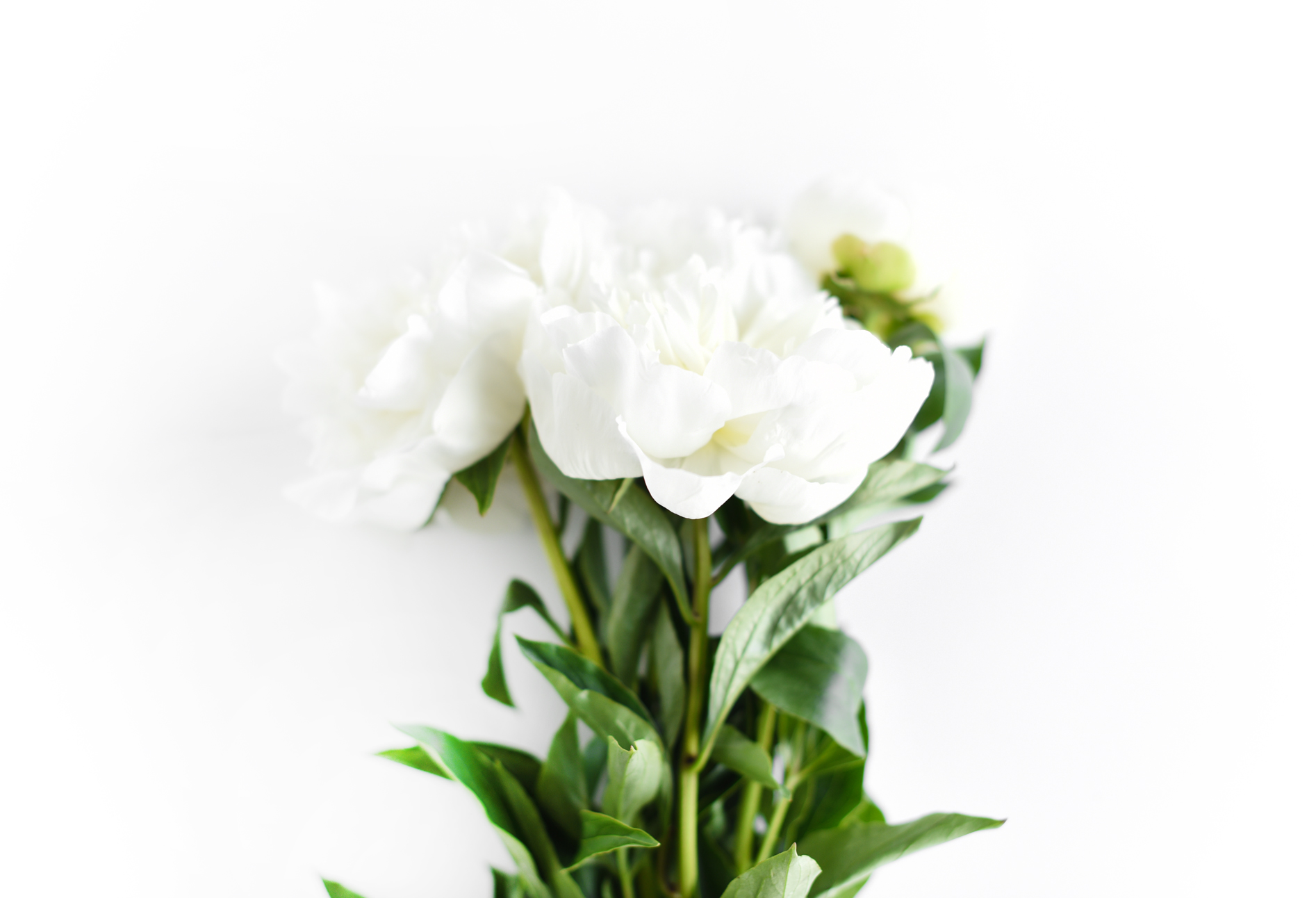 DIY Gold-Dipped Bouquet Vase