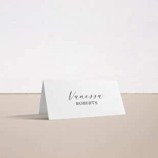 Chicago Modern Place and Escort Cards